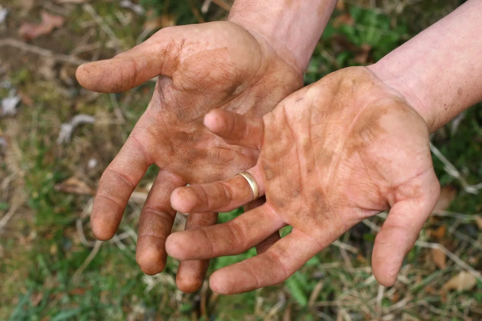 Vermixin : összetételében csak természetes összetevők.